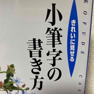 きれいに見せる小筆字の書き方 : 基礎を学び美しい文字で気持ちを伝える(趣味/スポーツ/実用)