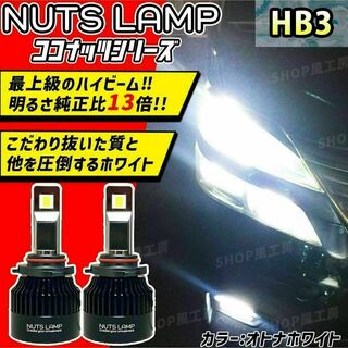車 HB3 ヘッドライト ハイビーム LED ホワイト NUTSLAMP