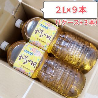 沖縄限定販売 さんぴん茶 2L ペットボトル ９本セット 茶流彩彩 ジャスミン茶(茶)