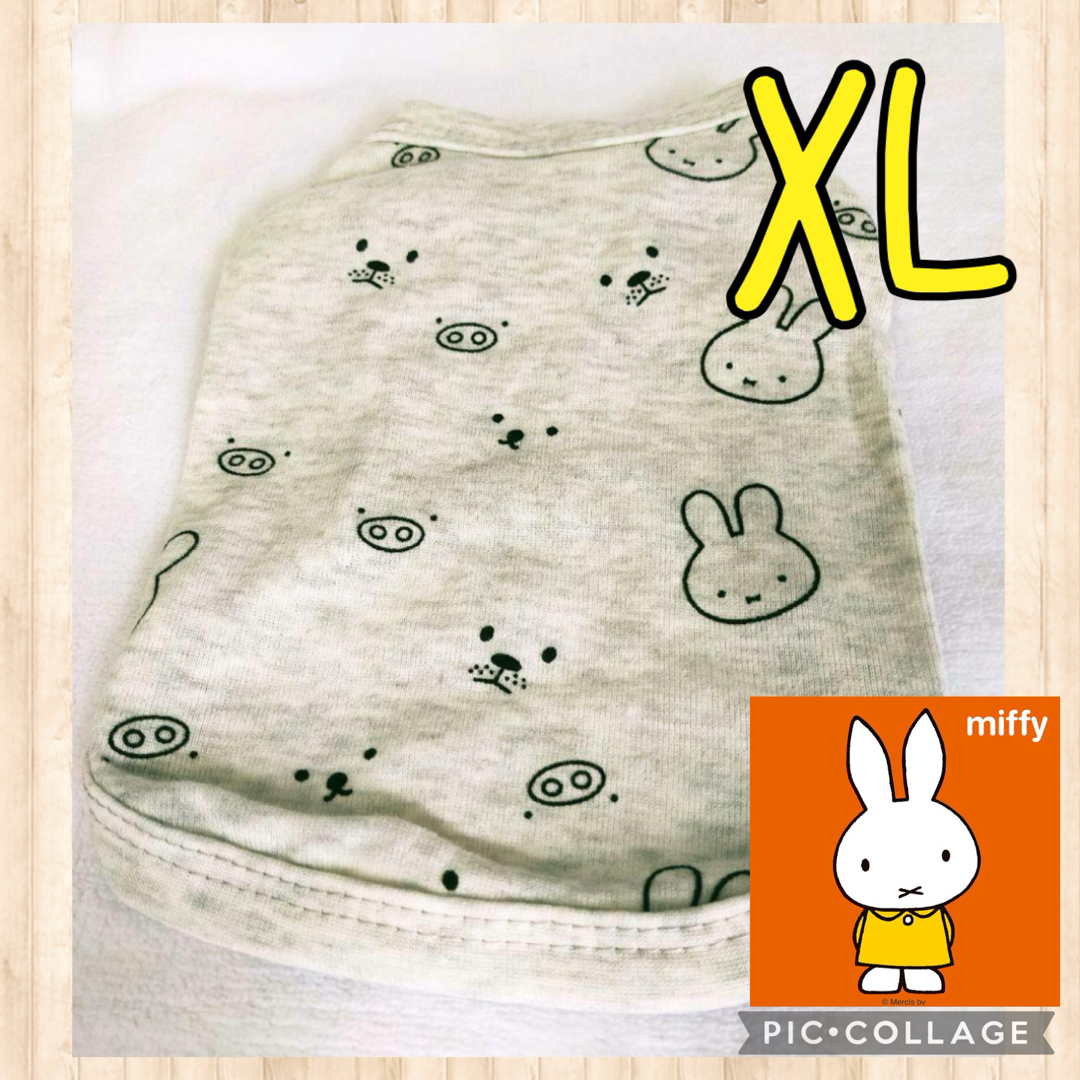 miffy(ミッフィー)の♡新品未使用♡犬服XL ミッフィー　薄手ティシャツ　夏服　グレー その他のペット用品(犬)の商品写真