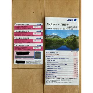 ANA 株主優待優待 4枚 25年5月31日まで(その他)