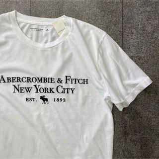 アバクロンビーアンドフィッチ(Abercrombie&Fitch)の新品★アバクロメンズ刺繍ロゴＴシャツ★ホワイト★サイズM(シャツ)