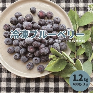 冷凍ブルーベリー　1.2キロ(フルーツ)