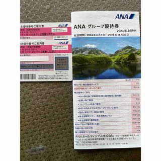 エーエヌエー(ゼンニッポンクウユ)(ANA(全日本空輸))の最新　ANA株主優待券  2枚(その他)