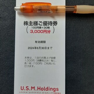 ユナイテッド・スーパーマーケット・HD 株主優待券3000円分 -2024/6