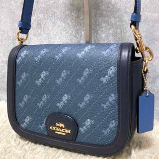 コーチ(COACH)の【極美品】COACH コーチ ショルダーバッグ レザー PVC ホース 2way(ショルダーバッグ)