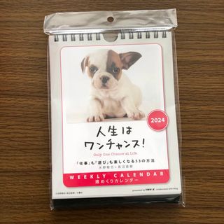 未使用、2024年、犬、卓上カレンダー(カレンダー/スケジュール)