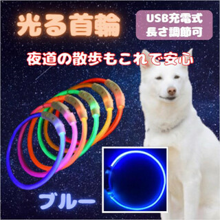 光る 首輪 ブルー LEDライト USB充電 犬 ドッグ おしゃれ 夜の散歩(犬)
