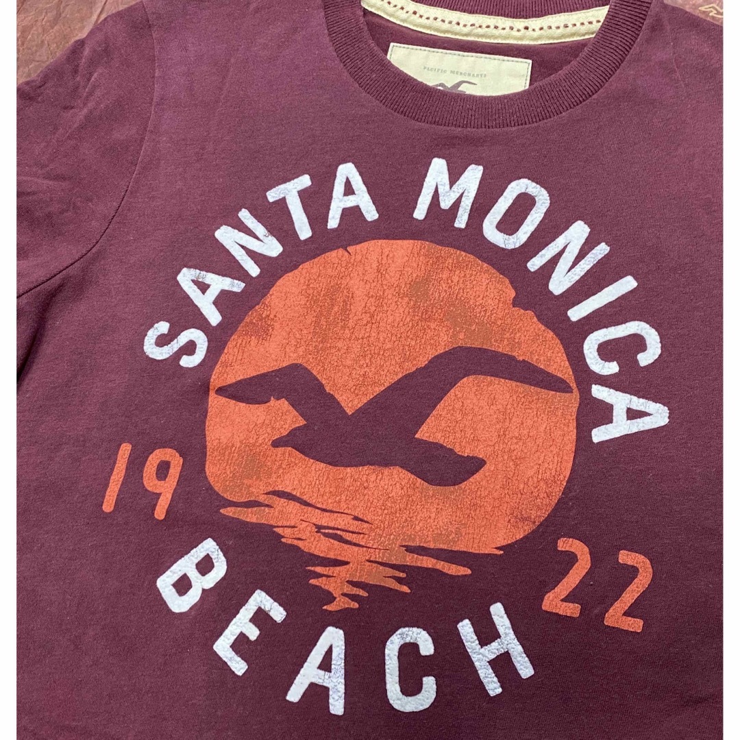 Hollister(ホリスター)の米国購入【未使用】HOLLISTER ホリスター Tシャツ メンズ メンズのトップス(Tシャツ/カットソー(半袖/袖なし))の商品写真