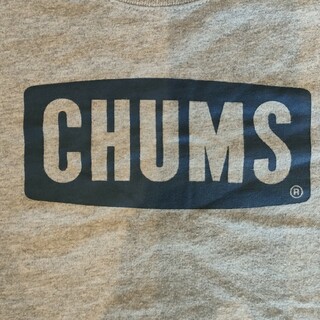 チャムス(CHUMS)のCHUMS　Ｔシャツ　レディースМ(シャツ/ブラウス(長袖/七分))