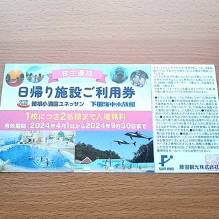 藤田観光 株主優待券 　1枚(２名分)　ユネッサン 下田海中水族館　株主優待券