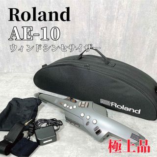 Roland - Z180 Roland AE-10 エアロフォン 楽器 ウィンドシンセサイザー