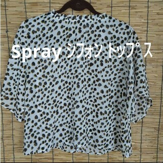 Spray　Premium　トップス　ブラウス　半袖　シフォン　フリーサイズ(シャツ/ブラウス(半袖/袖なし))