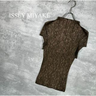 プリーツプリーズイッセイミヤケ(PLEATS PLEASE ISSEY MIYAKE)の『ISSEY MIYAKE』イッセイミヤケ (4) プリーツ カットソー(カットソー(半袖/袖なし))