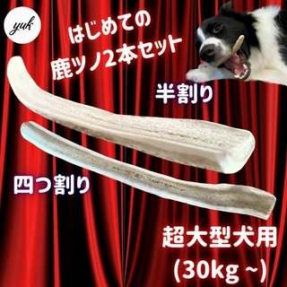 【24時間以内発送】超大型犬用　四つ割り&半割りセット　鹿の角　犬のおもちゃ(犬)