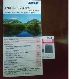 ANA株主優待券 1枚(その他)