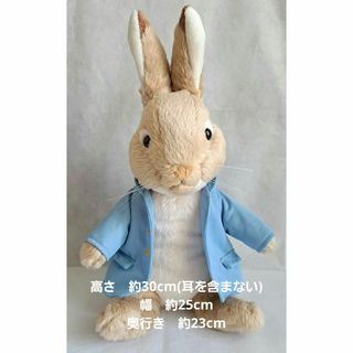 PETER RABBIT（TM） - 【匿名配送】ぬいぐるみ　ピーターラビット　ミディアム