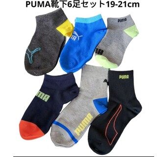 PUMA - PUMA　靴下6足セット　19-21cm