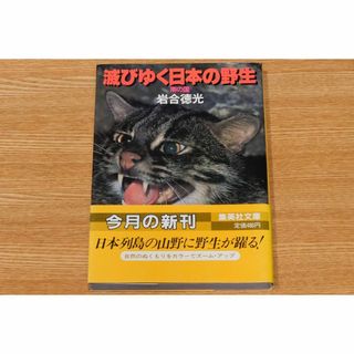 滅びゆく日本の野生 南の国 岩合徳光 文庫本(アート/エンタメ)