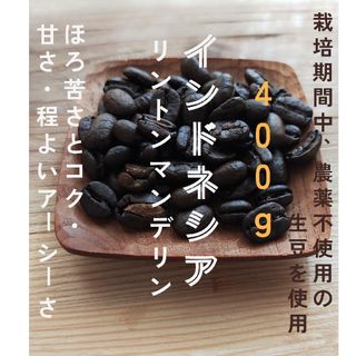 インドネシア　リントンマンデリン　自家焙煎コーヒー豆　400g(コーヒー)