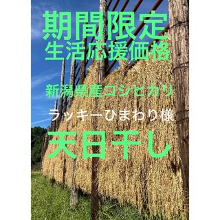 新潟県産天日干しコシヒカリ(米/穀物)