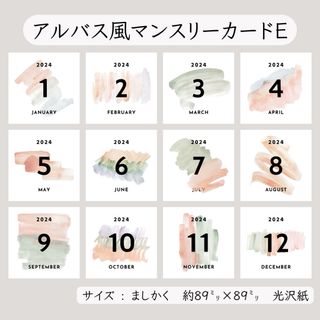 ＼NEW／アルバス風マンスリーカードE ꕤ 12枚セット(アルバム)