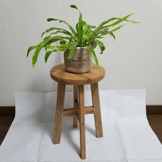 ハンドメイド　スツール　椅子　丸椅子　茶　花台　観葉植物