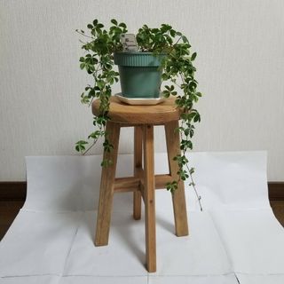 ハンドメイド　スツール　椅子　丸椅子　茶　花台　観葉植物