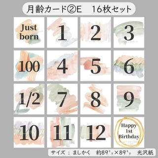 月齢カード②E ꕤ 16枚セット(アルバム)