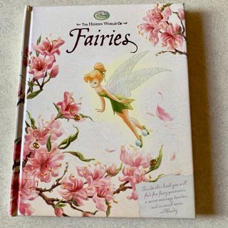 Disney - 激レア 海外 フェアリーズ 仕掛け絵本 ティンカーベル Fairies 入手困難