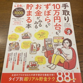 手取り１０万円台でも、ずぼらでもお金がみるみる貯まる本