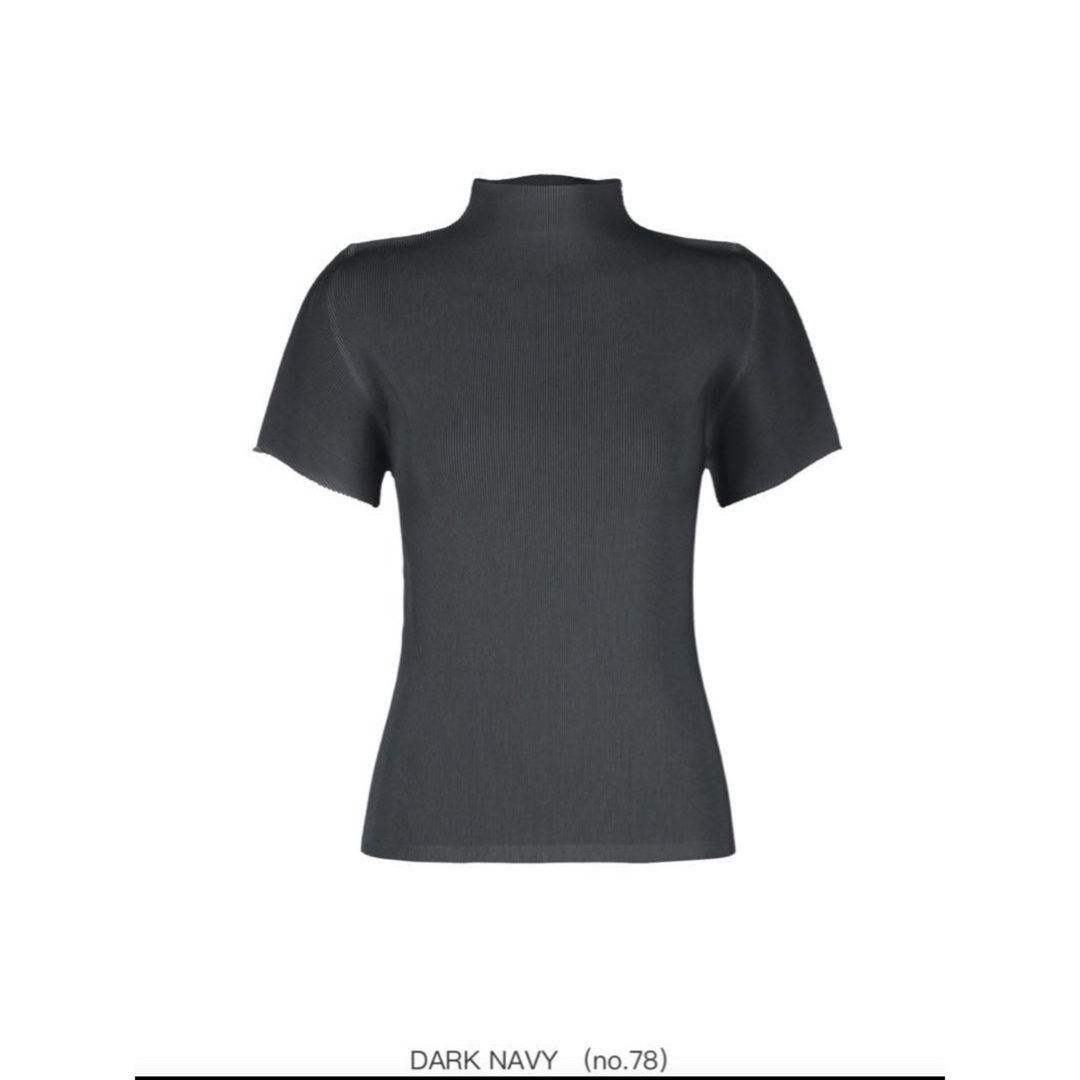 PLEATS PLEASE ISSEY MIYAKE(プリーツプリーズイッセイミヤケ)のPLEATS PLEASE ISSEY MIYAKE MIST APRIL レディースのトップス(Tシャツ(半袖/袖なし))の商品写真