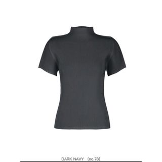 プリーツプリーズイッセイミヤケ(PLEATS PLEASE ISSEY MIYAKE)のPLEATS PLEASE ISSEY MIYAKE MIST APRIL(Tシャツ(半袖/袖なし))