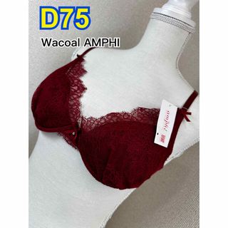 Wacoal AMPHI ブラジャー D75