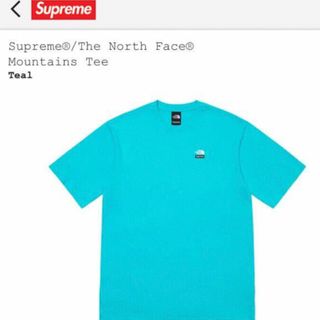 シュプリーム(Supreme)のSupreme North FaceコラボTシャツ(Tシャツ/カットソー(半袖/袖なし))