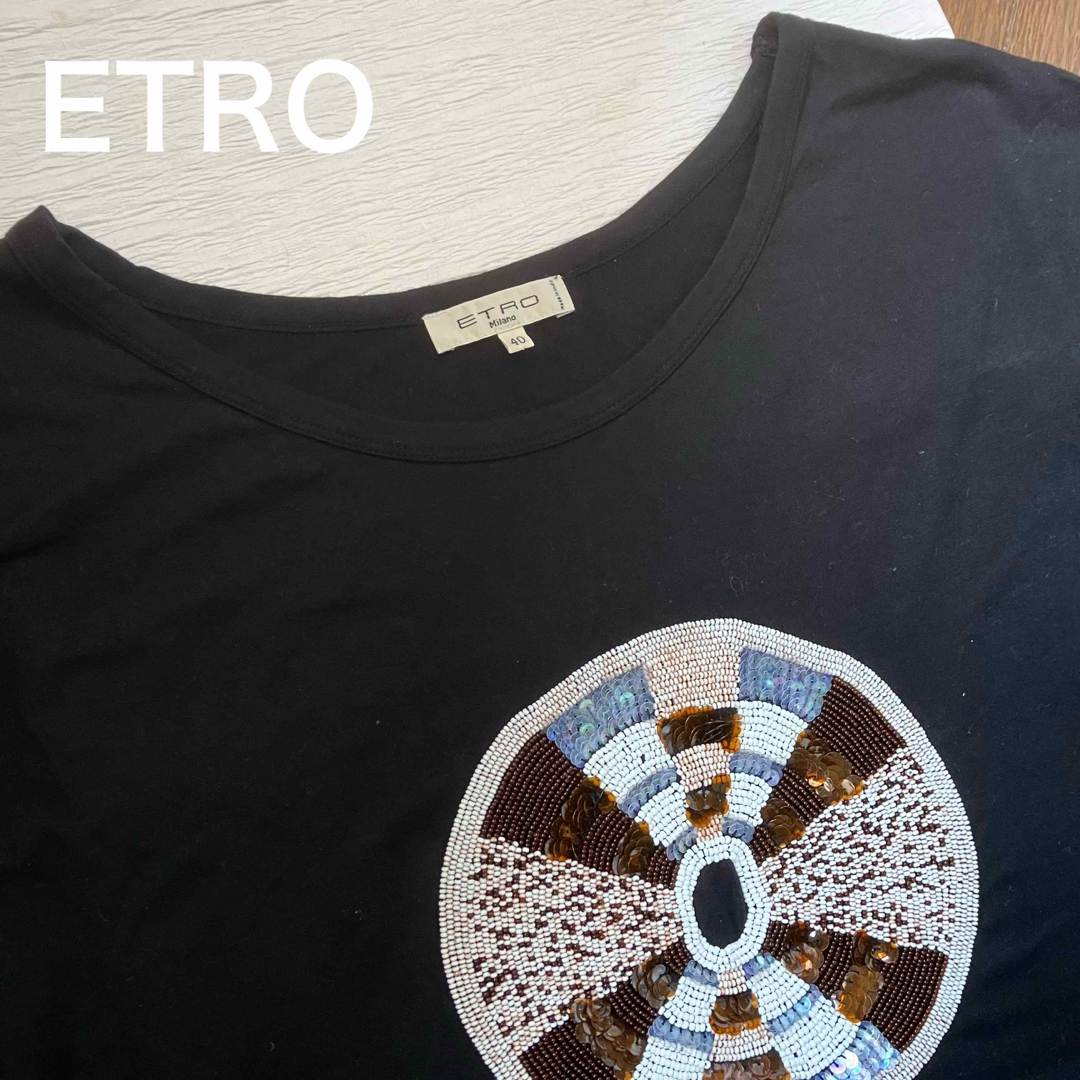ETRO(エトロ)のused   ETRO インパクト大のビーズ刺繍  ドルマンスリーブカットソー レディースのトップス(カットソー(半袖/袖なし))の商品写真