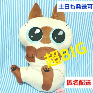 タイトー(TAITO)の★限定レア★シャム猫あずきさんは世界の中心　だきぐるみ　クッション(ぬいぐるみ)