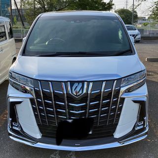 トヨタ - ヴェルファイア20後期化セット送料無料 塗装致します!新品 トヨタ - ヴェルファイア20後期化セット送料無料 塗装致します!新品