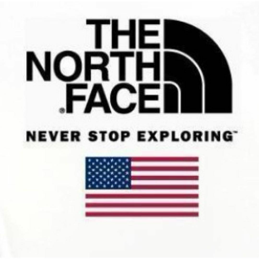 THE NORTH FACE ザノースフェイス ロンT グリーン系　XXLサイズ メンズのトップス(Tシャツ/カットソー(七分/長袖))の商品写真