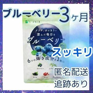 ブルーベリー　サプリメント　3ヶ月分　90粒　シードコムス(その他)