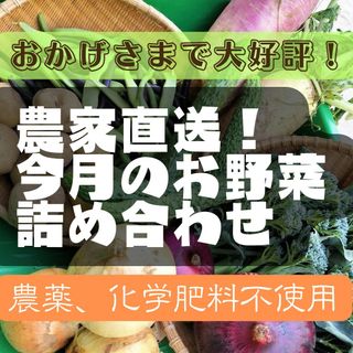 今月のお野菜詰め合わせ80サイズ(野菜)