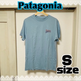 patagonia - 【ハワイ限定⭐︎日本未発売品！】Patagonia 半袖Tシャツ Sサイズ 青