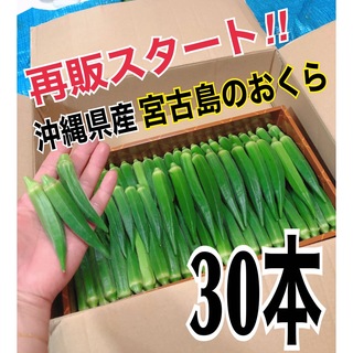 【30本】宮古島産　おくら　オクラ(野菜)