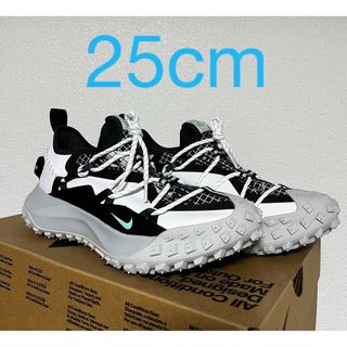 ナイキ(NIKE)のACG Mountain Fly Low 25cm(スニーカー)