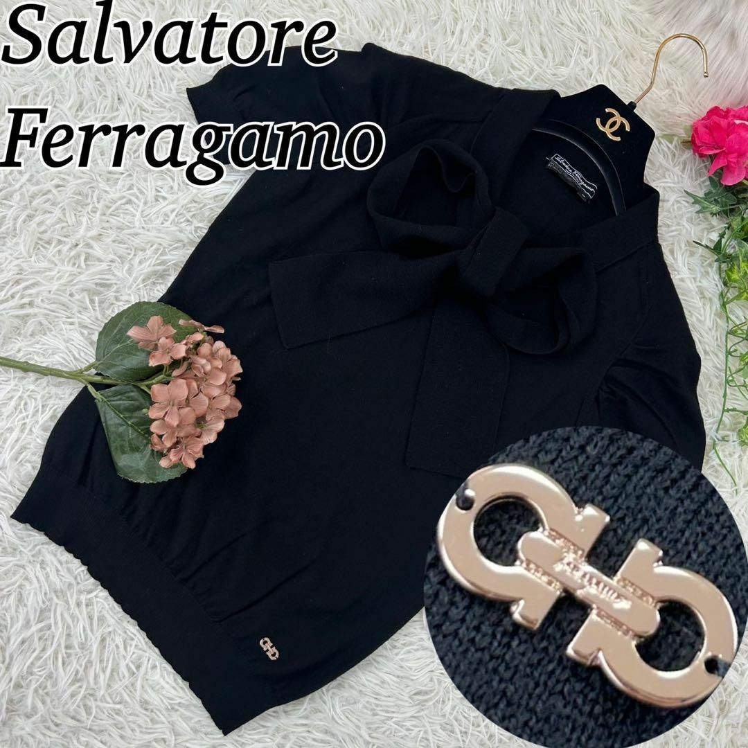 Salvatore Ferragamo(サルヴァトーレフェラガモ)のA459 サルヴァトーレフェラガモ レディース ニット ガンチーニ金具 M レディースのトップス(ニット/セーター)の商品写真