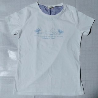 Tシャツ　白(Tシャツ(半袖/袖なし))