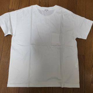 モリスアンドサンズ(MORRIS & SONS)のMORRIS &SONS Tシャツ(Tシャツ(半袖/袖なし))