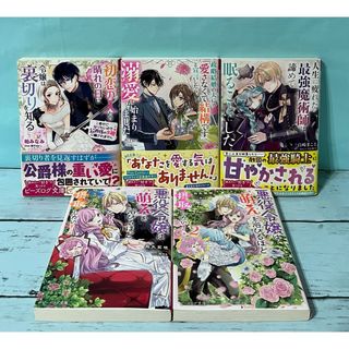 ビーズログ文庫5冊まとめ売り 匿名配送(文学/小説)