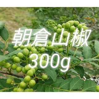 山椒の実 300g　大分県産 朝倉山椒 農薬不使用 青山椒 実山椒(野菜)