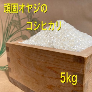 新米　令和5年度産　頑固オヤジのコシヒカリ近江米5kg(滋賀湖北・減農薬)(米/穀物)